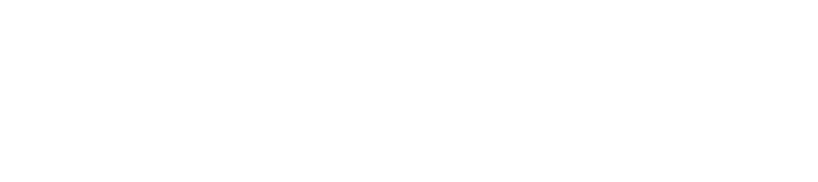 StimRouter